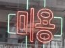 애견센터문십자가